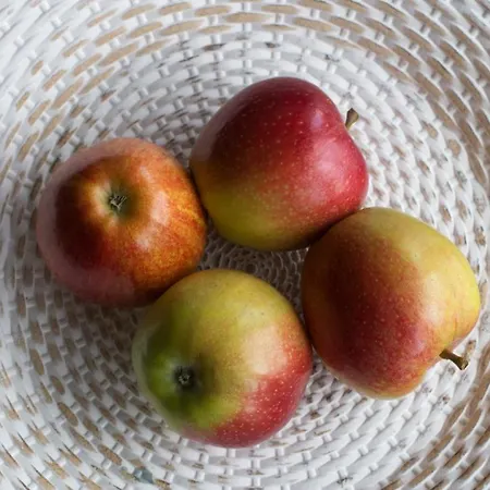 Hébergement de vacances Ringelnatz & Lichtwer-